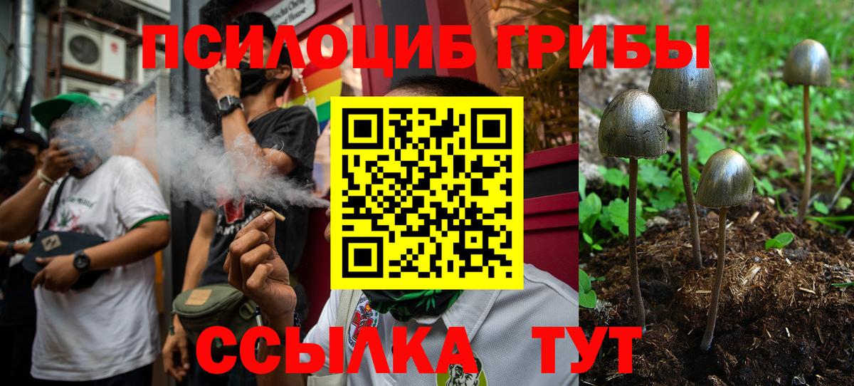 Лабинск  Галлюциногенные грибы Psilocybe  Вход с VPN 